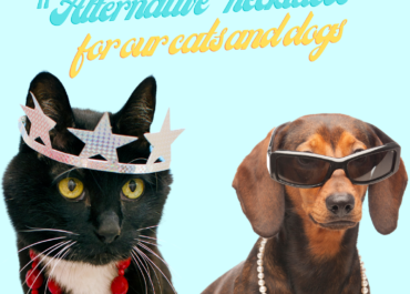 â€œAlternativeâ€� necklaces for our cats and dogs